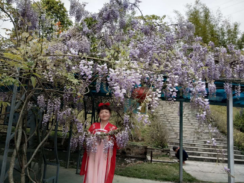 莉莉的第一张照片--华安婚介网